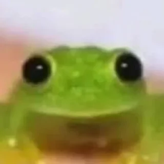 Стикер animales - 11