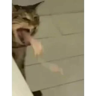 Стикер animales - 10