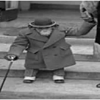 Стикер animales - 0