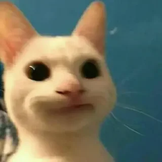 Стикер animales - 2