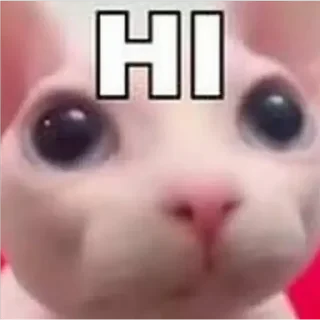 Стикер animales - 8