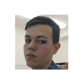 Стикер artemlox - 1