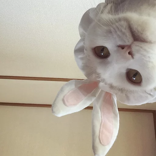 Sticker animalsaregoingtoeaturbrain - 1