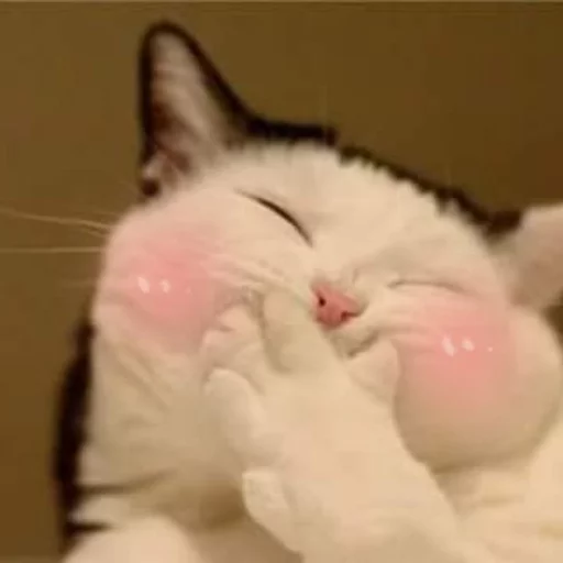 Стикер animalsaregoingtoeaturbrain - 1