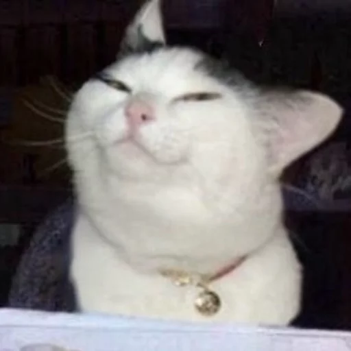 Sticker animalsaregoingtoeaturbrain - 1