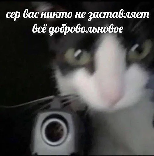 Sticker animalsfromceasel - 1