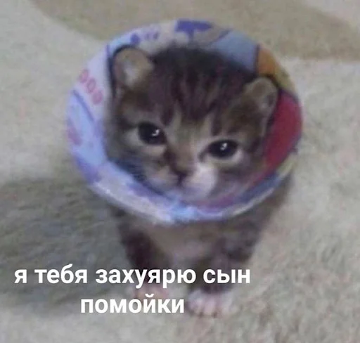 Sticker animalsfromceasel - 1