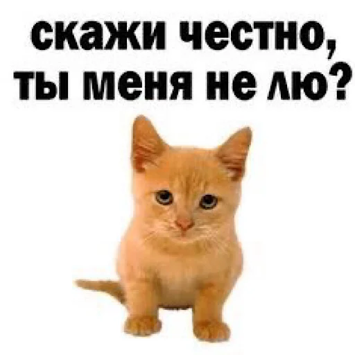 Sticker animalsfromceasel - 1