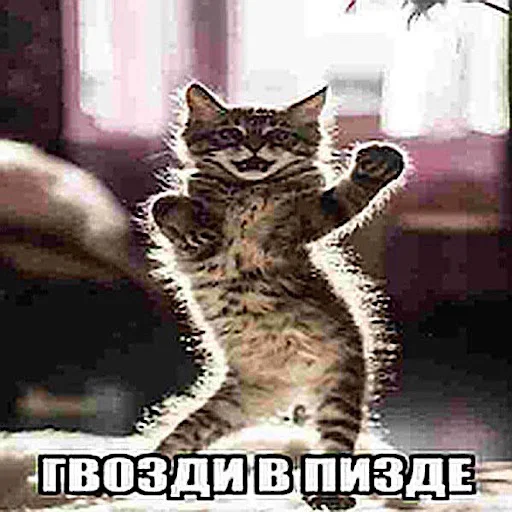 Стикер animalsfromceasel - 1