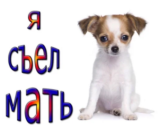 Стикер animalsfromceasel - 1