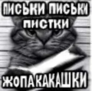 Sticker ебучие животные @ceaselstick - 2