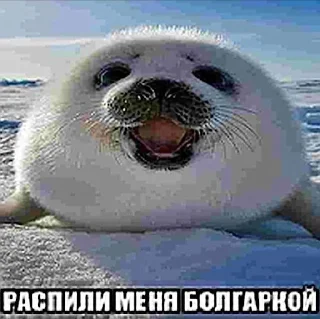 Sticker ебучие животные @ceaselstick - 4