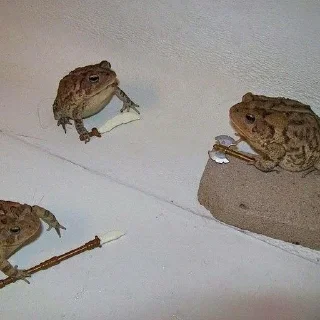 Стикер Лягухи от @frogs_anime - 10