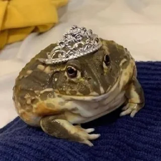 Стикер Лягухи от @frogs_anime - 9