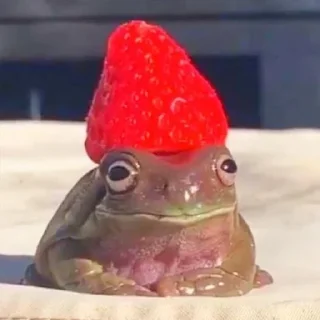 Стикер Лягухи от @frogs_anime - 1