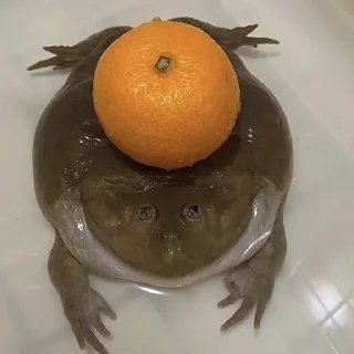 Стикер Лягухи от @frogs_anime - 6