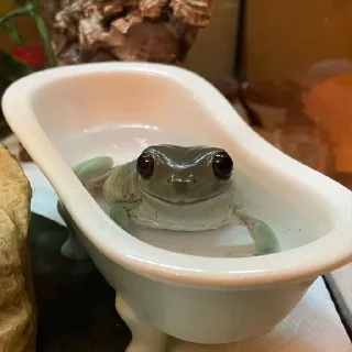 Стикер Лягухи от @frogs_anime - 8