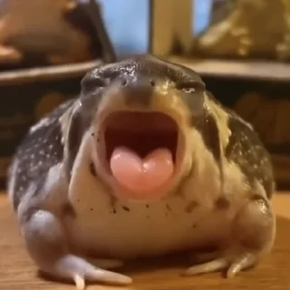 Стикер Лягухи от @frogs_anime - 5