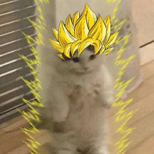 кошка жёлтый млекопитающее