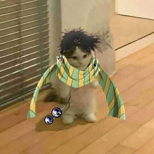 этаж собака комнатный