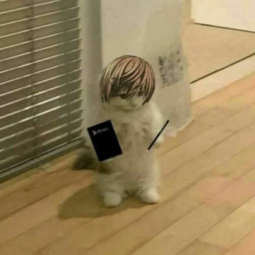 комнатный этаж стена