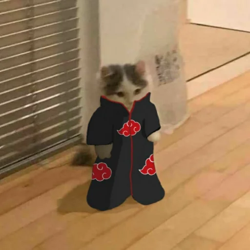 комнатный млекопитающее настил