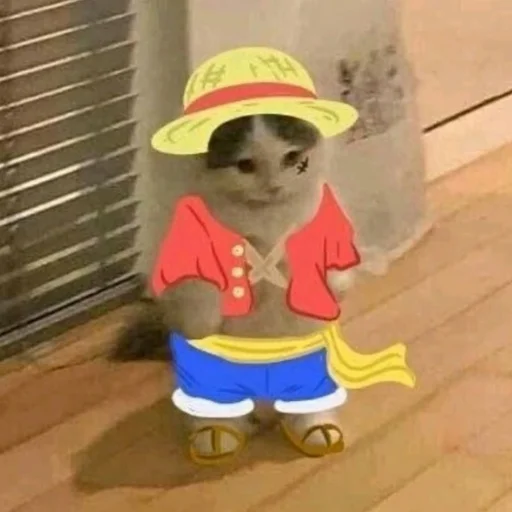 млекопитающее игрушка этаж