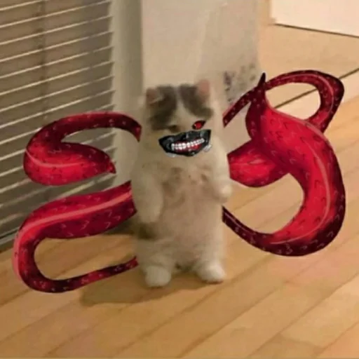 комнатный кошки малого и среднего размера кошачьи