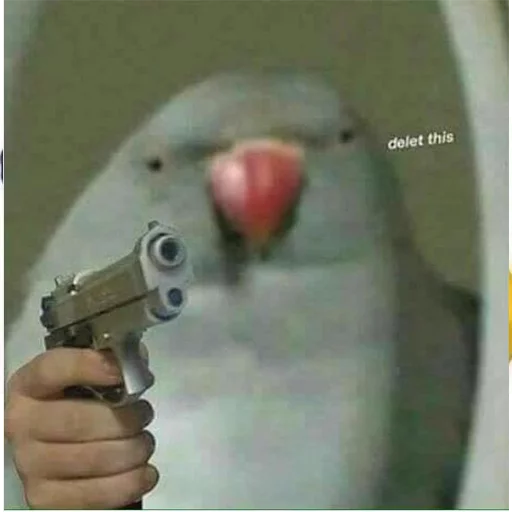 оружие СМС птица