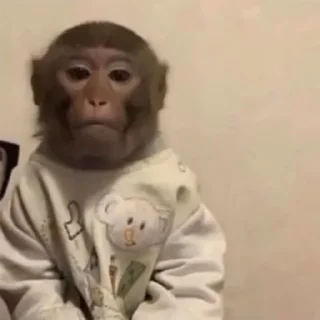 Sticker MONKEYS BY @bambinaaaaa - 5