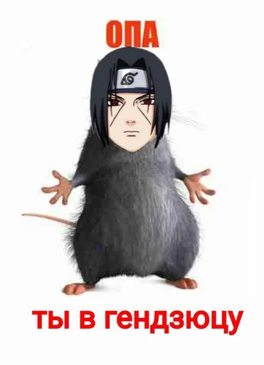 мультфильм млекопитающее животное