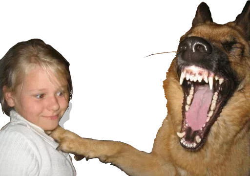 млекопитающее животное Человек