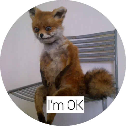 млекопитающее животное лиса