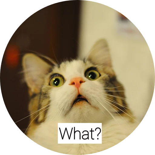 Ani @lowallpapers - млекопитающее