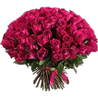 Sticker mean girls 💅🏻🩷 @annie_prit - 11