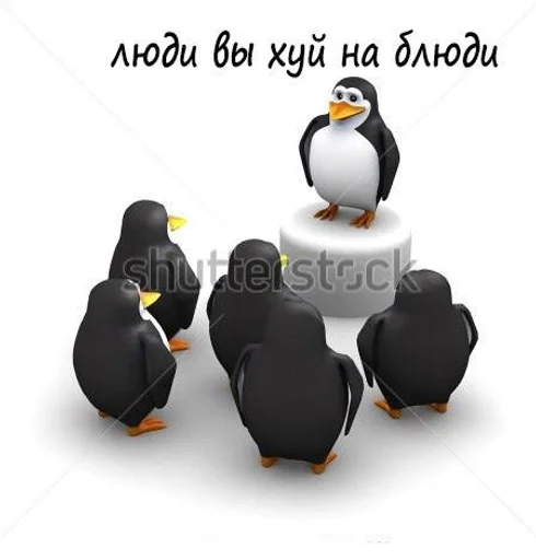 водная птица птица животное