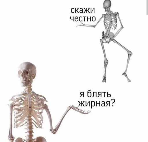 skeleton sketch joint