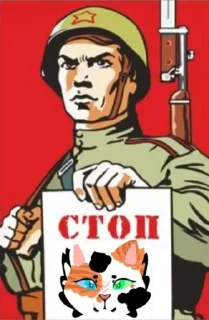 Sticker АНТИ КВД И АНТИ ФУРРИ @anti_kvd_kivv - 4