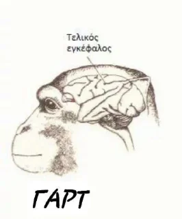 Sticker АНТИ КВД И АНТИ ФУРРИ @anti_kvd_kivv - 5