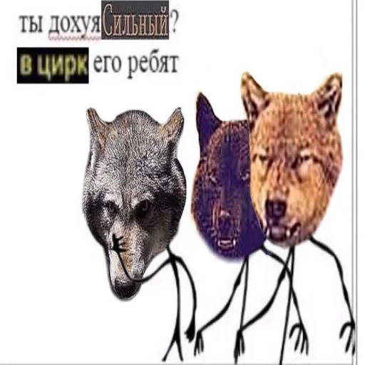 СМС рыло млекопитающее