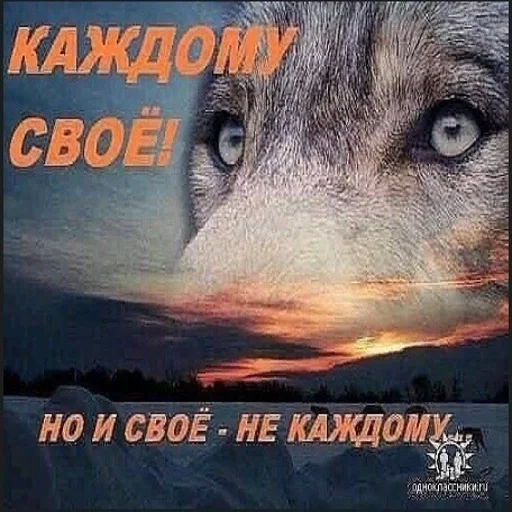 СМС книга млекопитающее