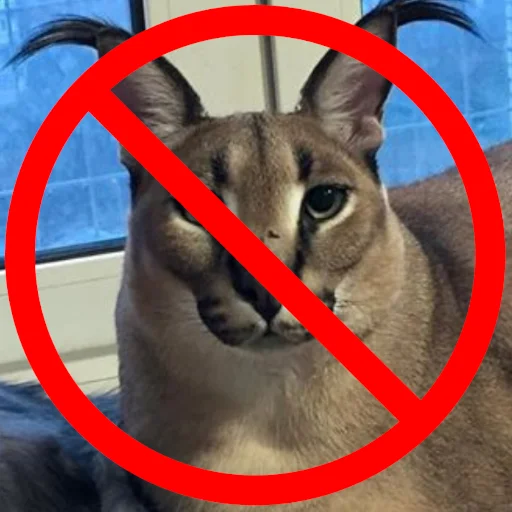 ANTI-FLOPPA @antifloppa - 