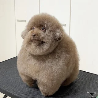 Стикер АНТИХАЙП - 4