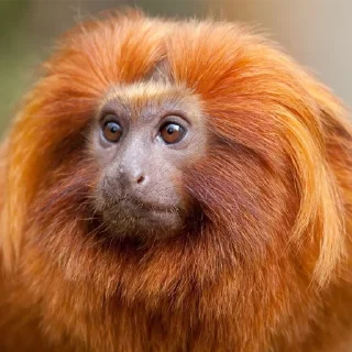 Стикер АНТИХАЙП - 11