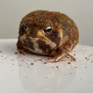 Sticker помойка киперская - 6