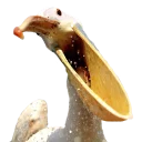 Стикер Anton_p_stickers - 6