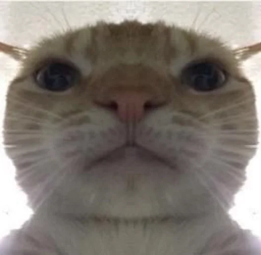 Sticker лох.ириска.лох :: @fStikBot - 5