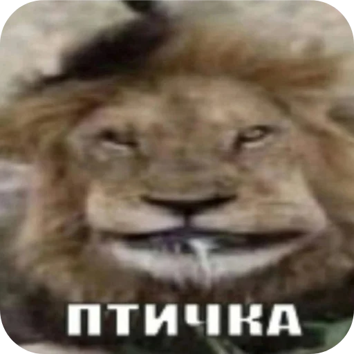 Стикер apchihba33 - 1