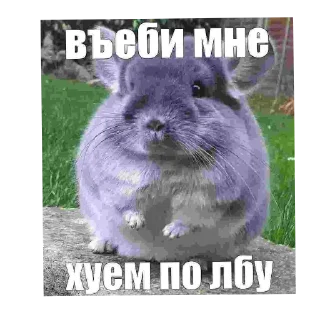 Sticker апчихба - 7