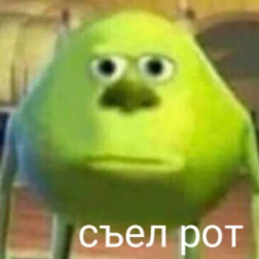 животное птица попугай